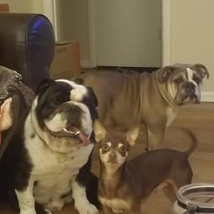 Meet your Posher, Norberto